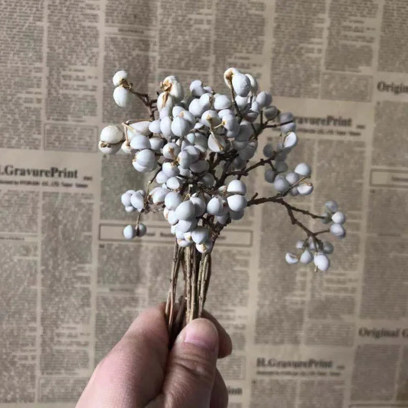 Preserved Ginkgo Biloba Branches