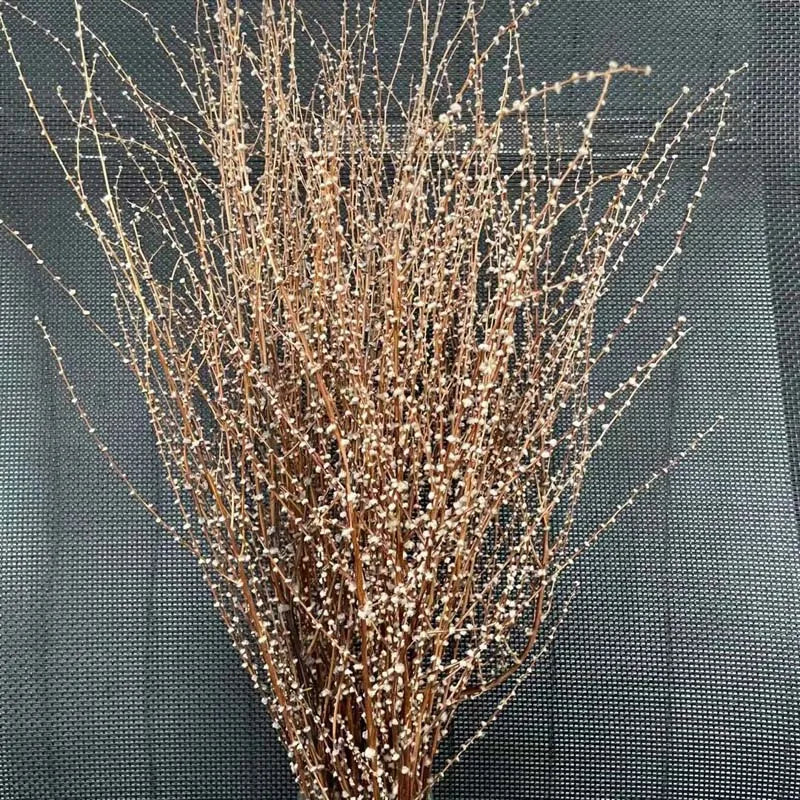 Dried Wheat Grass Branches