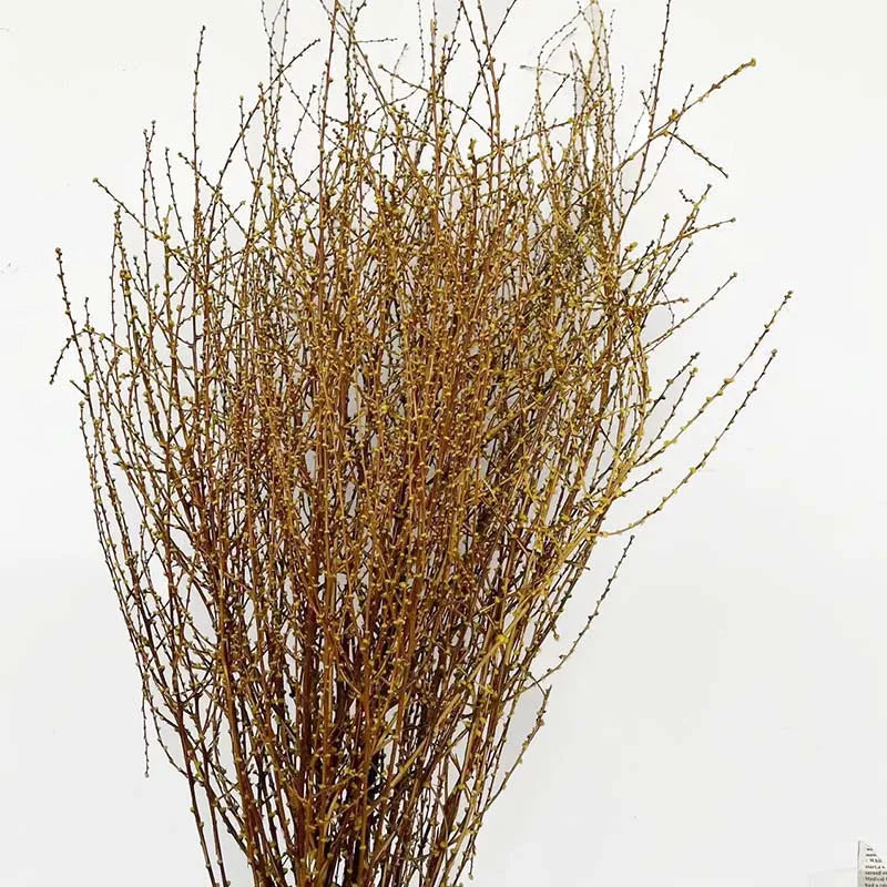 Dried Wheat Grass Branches