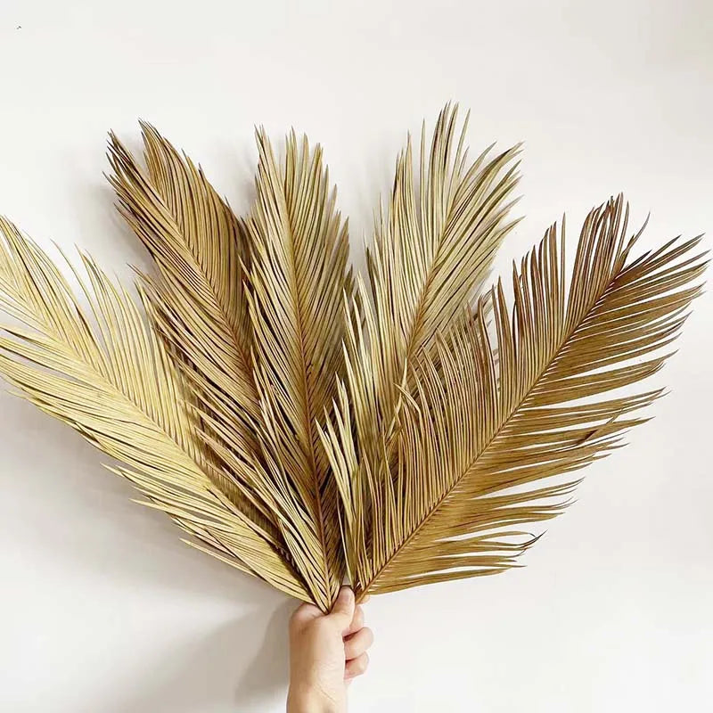 Dried Sago Palm Branches