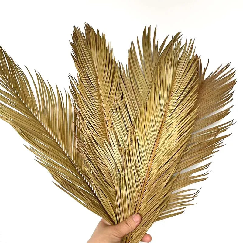 Dried Sago Palm Branches